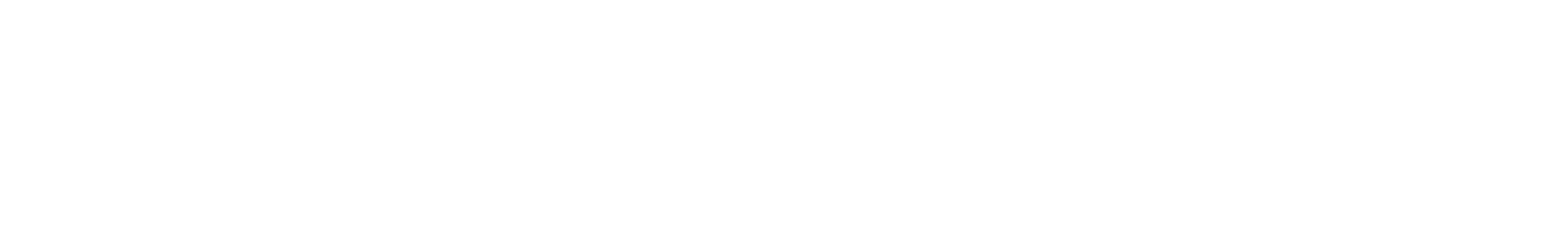 Customic Logo